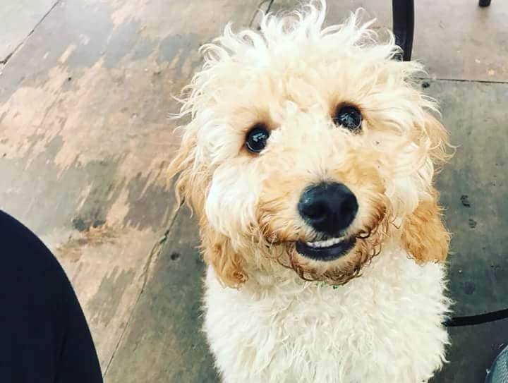 UGP sponsored walk - Someone enjoyed the walk 🙂